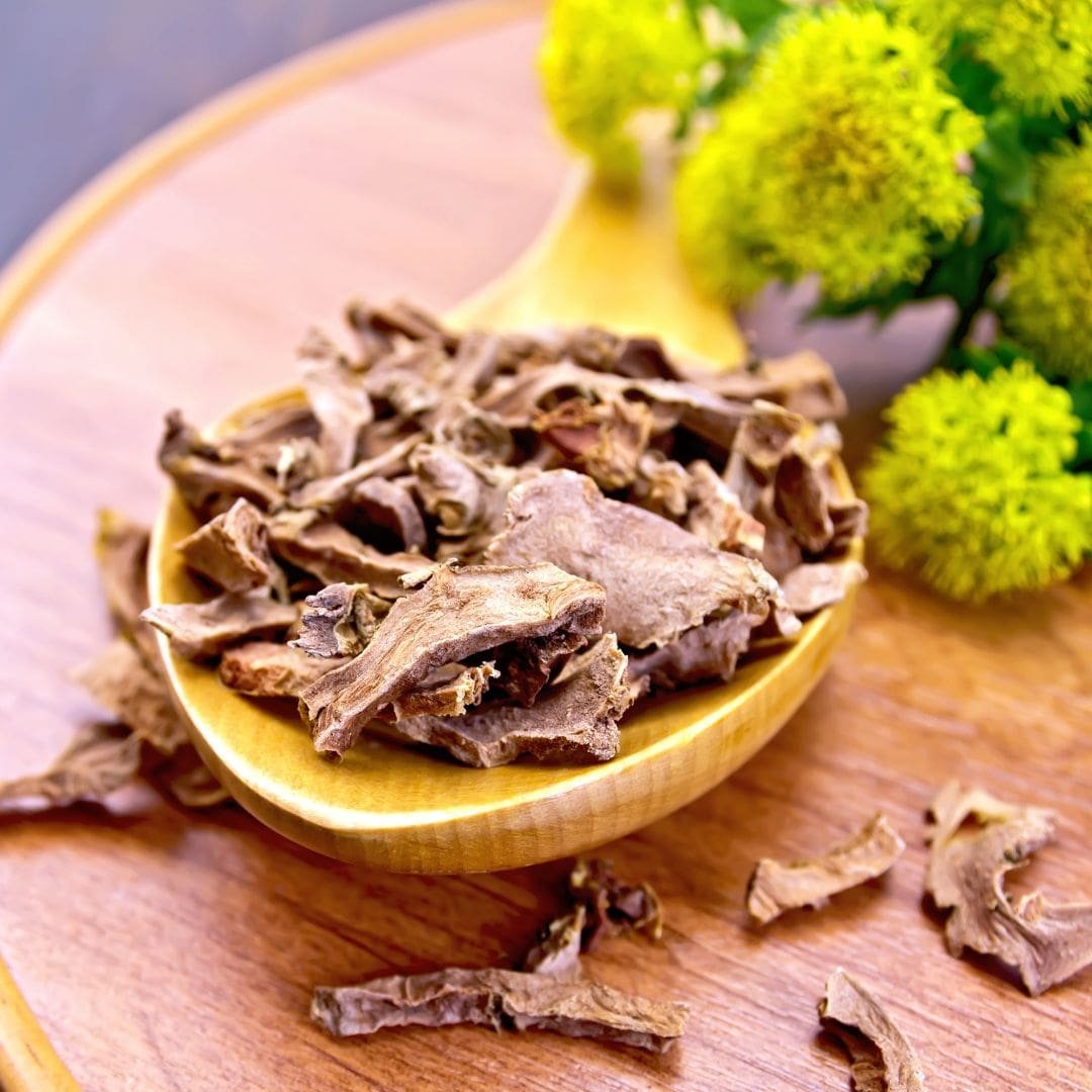 Rhodiola Root (Rhodiola Rosea)